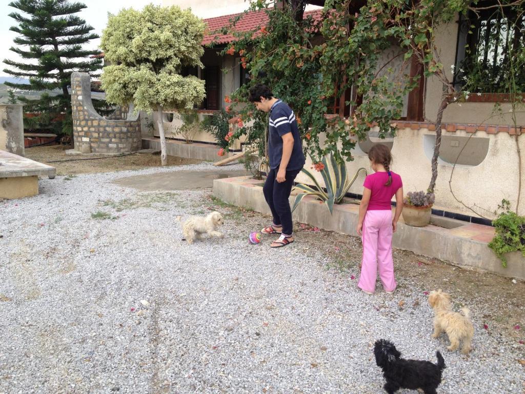 Mornag Dar Salima B&B 외부 사진