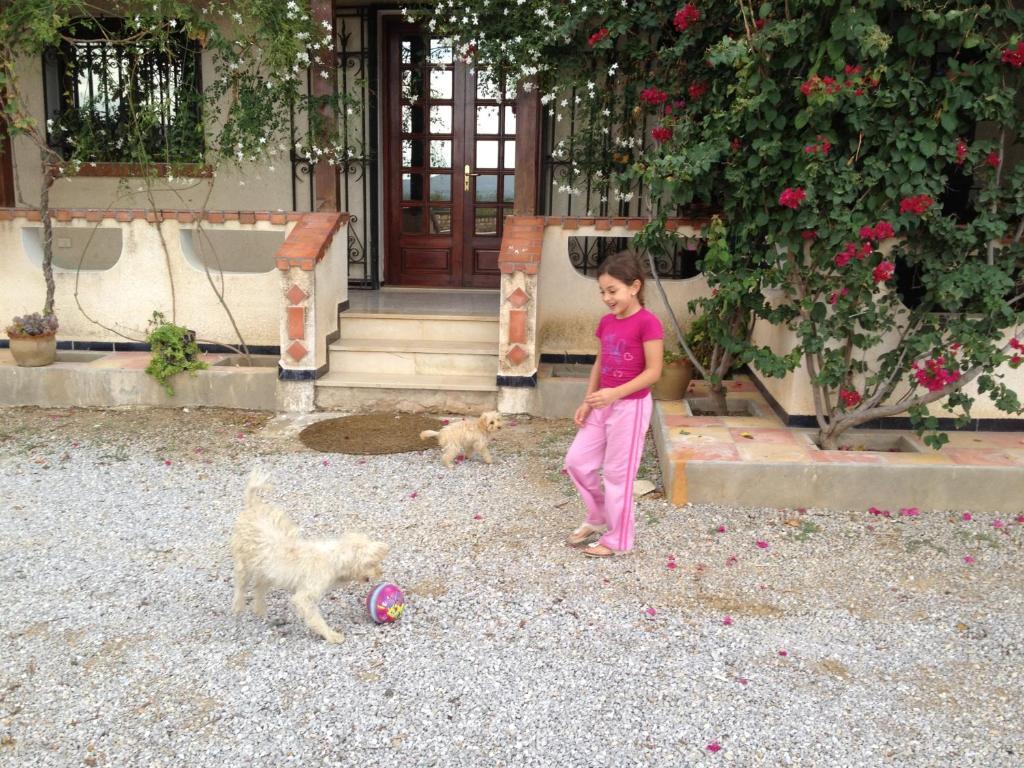 Mornag Dar Salima B&B 외부 사진